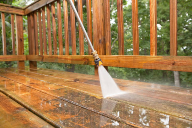 Best Sidewalk and Walkway Cleaning  in Bay Springs, MS